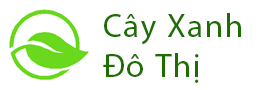 Cây Xanh Đô Thị